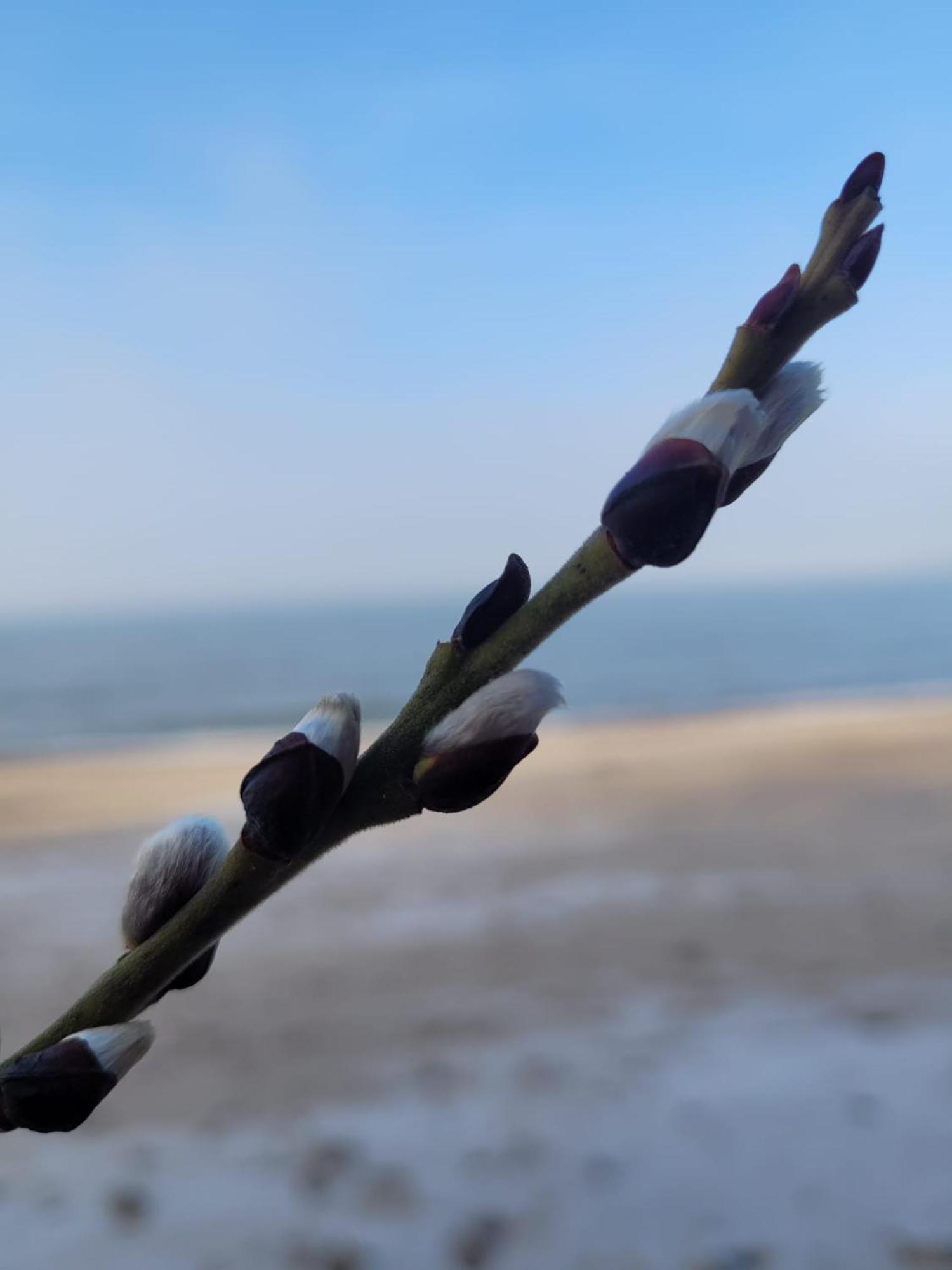 Golden Sand Łukęcin 외부 사진